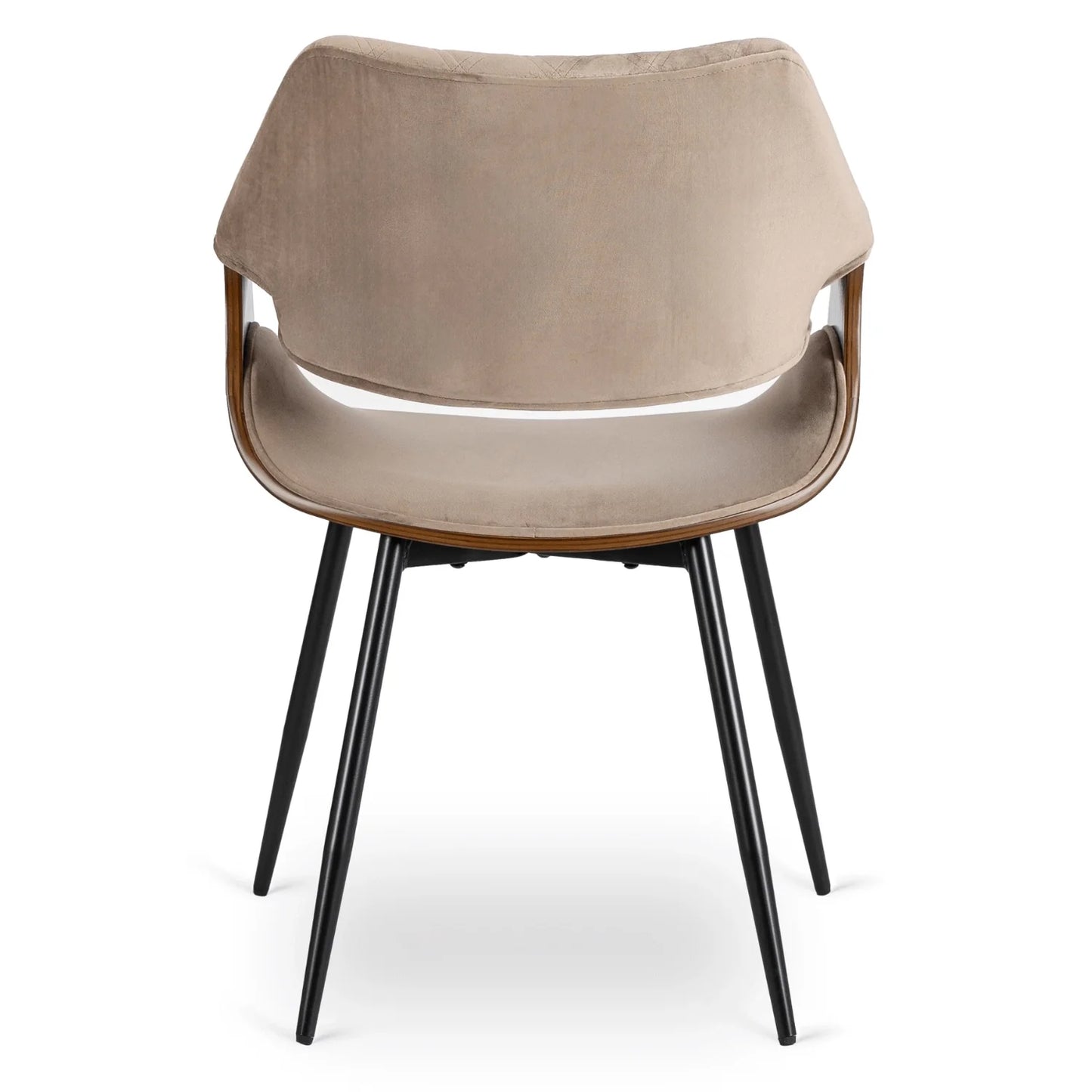 Elite DAKOTA Beige/Walnut Velour Chair – A Fusion of Elegance and Comfort